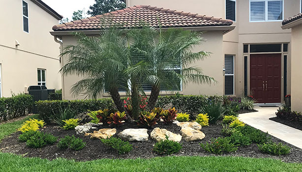 Front landscaping with variety