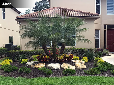 Front of house after