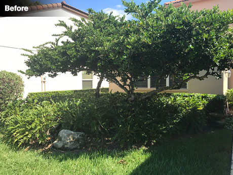 Front of house before