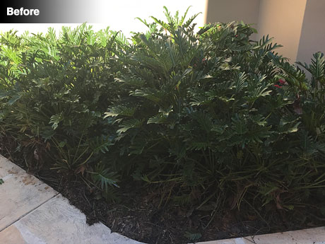 Front door area before