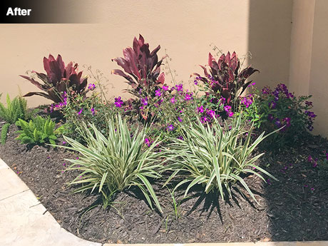 Front door area after