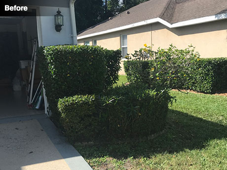 Right of garage before