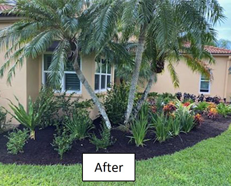 Landscaping after