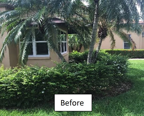 Landscaping before