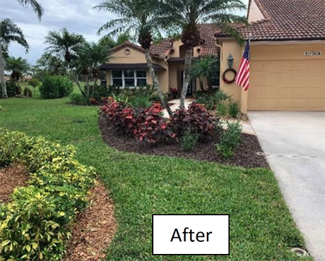 Landscaping after