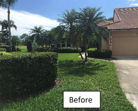 Landscaping before