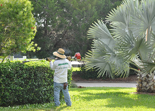 commercial grounds maintenance